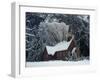 Small Church in Snow-null-Framed Premium Photographic Print