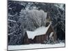 Small Church in Snow-null-Mounted Premium Photographic Print