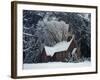 Small Church in Snow-null-Framed Photographic Print