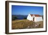 Small Church, Patmos, Dodecanese, Greek Islands, Greece, Europe-null-Framed Photographic Print