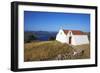 Small Church, Patmos, Dodecanese, Greek Islands, Greece, Europe-null-Framed Photographic Print