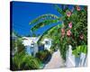 Small Clapboard House in Hope Town, Elbow Cay, Abaco Islands, Bahamas, Caribbean-null-Stretched Canvas