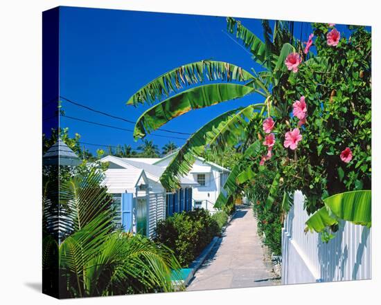 Small Clapboard House in Hope Town, Elbow Cay, Abaco Islands, Bahamas, Caribbean-null-Stretched Canvas