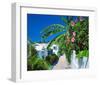 Small Clapboard House in Hope Town, Elbow Cay, Abaco Islands, Bahamas, Caribbean-null-Framed Art Print