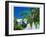 Small Clapboard House in Hope Town, Elbow Cay, Abaco Islands, Bahamas, Caribbean-null-Framed Art Print