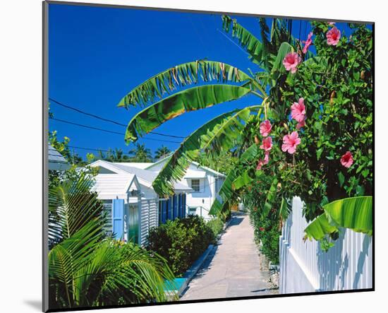 Small Clapboard House in Hope Town, Elbow Cay, Abaco Islands, Bahamas, Caribbean-null-Mounted Art Print