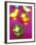 Small Colourfully Wrapped Chocolate Chickens-Francesca Yorke-Framed Photographic Print