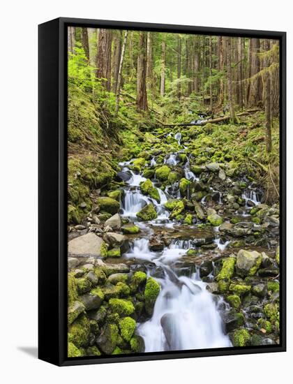 Small Creek with Waterfall, Olympic National Park, Washington, USA-Tom Norring-Framed Stretched Canvas