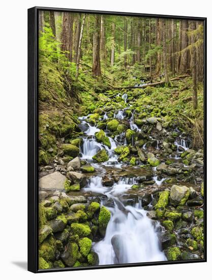 Small Creek with Waterfall, Olympic National Park, Washington, USA-Tom Norring-Framed Photographic Print