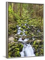 Small Creek with Waterfall, Olympic National Park, Washington, USA-Tom Norring-Framed Photographic Print