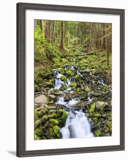 Small Creek with Waterfall, Olympic National Park, Washington, USA-Tom Norring-Framed Photographic Print