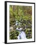 Small Creek with Waterfall, Olympic National Park, Washington, USA-Tom Norring-Framed Photographic Print