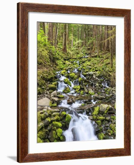 Small Creek with Waterfall, Olympic National Park, Washington, USA-Tom Norring-Framed Photographic Print