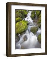 Small Creek-Craig Tuttle-Framed Photographic Print