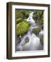 Small Creek-Craig Tuttle-Framed Photographic Print