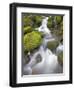 Small Creek-Craig Tuttle-Framed Photographic Print