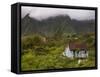 Small Creole-style cabin, Plaine-des-Palmistes, Reunion Island, France-Walter Bibikow-Framed Stretched Canvas