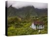Small Creole-style cabin, Plaine-des-Palmistes, Reunion Island, France-Walter Bibikow-Stretched Canvas