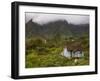 Small Creole-style cabin, Plaine-des-Palmistes, Reunion Island, France-Walter Bibikow-Framed Photographic Print