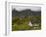 Small Creole-style cabin, Plaine-des-Palmistes, Reunion Island, France-Walter Bibikow-Framed Photographic Print