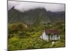 Small Creole-style cabin, Plaine-des-Palmistes, Reunion Island, France-Walter Bibikow-Mounted Photographic Print