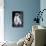 Small Dog Sitting-Tim Kahane-Photographic Print displayed on a wall