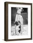 Small Dog Standing under Great Dane-null-Framed Photographic Print