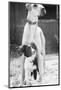 Small Dog Standing under Great Dane-null-Mounted Photographic Print