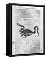 Small Dragon, 1678-Athanasius Kircher-Framed Stretched Canvas