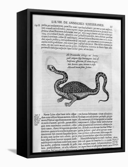 Small Dragon, 1678-Athanasius Kircher-Framed Stretched Canvas