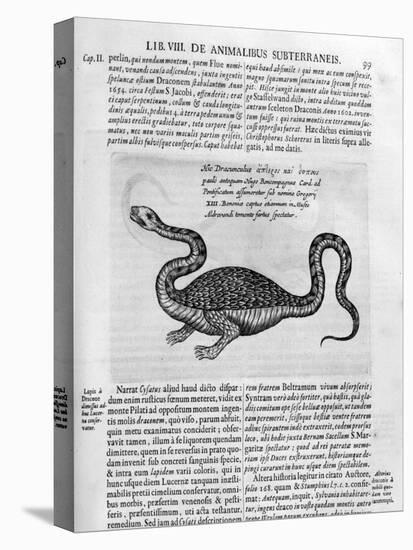 Small Dragon, 1678-Athanasius Kircher-Stretched Canvas