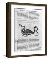 Small Dragon, 1678-Athanasius Kircher-Framed Giclee Print