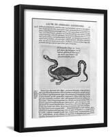 Small Dragon, 1678-Athanasius Kircher-Framed Giclee Print