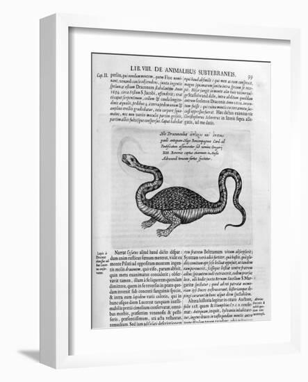 Small Dragon, 1678-Athanasius Kircher-Framed Giclee Print