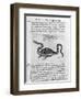 Small Dragon, 1678-Athanasius Kircher-Framed Giclee Print