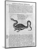 Small Dragon, 1678-Athanasius Kircher-Mounted Giclee Print