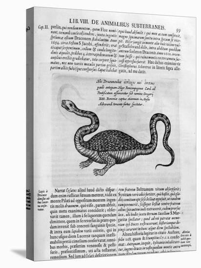 Small Dragon, 1678-Athanasius Kircher-Stretched Canvas