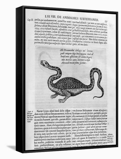 Small Dragon, 1678-Athanasius Kircher-Framed Stretched Canvas