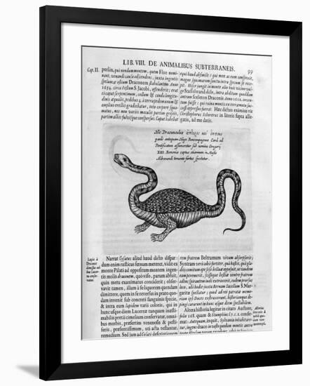 Small Dragon, 1678-Athanasius Kircher-Framed Giclee Print