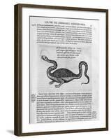 Small Dragon, 1678-Athanasius Kircher-Framed Giclee Print