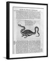 Small Dragon, 1678-Athanasius Kircher-Framed Giclee Print