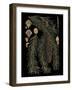 Small Dramatic Conifers III-Vision Studio-Framed Art Print