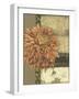 Small Ethereal Bloom IV-Jennifer Goldberger-Framed Art Print