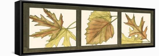 Small Fall Leaves I-Jennifer Goldberger-Framed Stretched Canvas