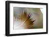 Small Feather Swims in the Water-Falk Hermann-Framed Photographic Print