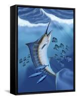 Small Fish Scatter As a Huge Blue Marlin Swims To the Surface-Stocktrek Images-Framed Stretched Canvas