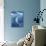 Small Fish Scatter As a Huge Blue Marlin Swims To the Surface-Stocktrek Images-Photographic Print displayed on a wall