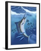 Small Fish Scatter As a Huge Blue Marlin Swims To the Surface-Stocktrek Images-Framed Photographic Print