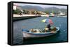 Small Fishing Boat in the Harbour, Sami, Kefalonia, Greece-Peter Thompson-Framed Stretched Canvas