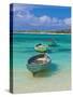 Small Fishing Boats in the Turquoise Sea, Mauritius, Indian Ocean, Africa-null-Stretched Canvas